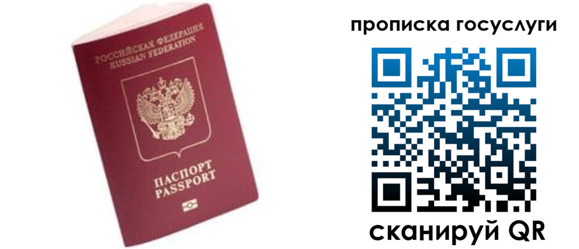 прописка в Горняке